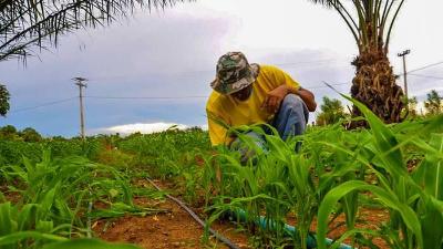 Minas Gerais  o 2 estado brasileiro com mais agricultores familiares