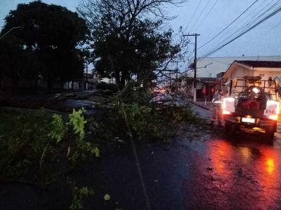 Tempestade provoca estragos e causa preocupaes em Guaxup
