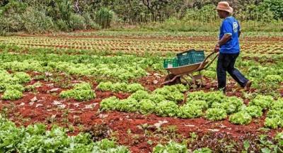 Plataforma do Desenrola renegociar dvidas de agricultores familiares