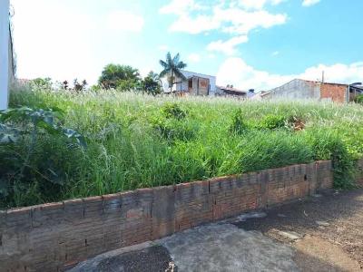 Moradores do Parque do Lago insatisfeitos com lote em pssimo estado de conservao