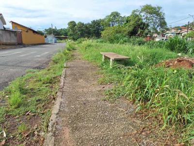 Moradores da Vila Progresso pedem apoio para o combate a escorpies e limpeza pblica