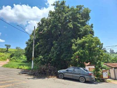 Moradores pedem a retirada urgente de rvore que coloca a segurana em risco na Vila Carloni