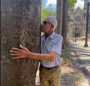 Homem conta que buscou em Guaxup as palmeiras imperiais plantadas na Praa da S, de So Paulo, na dcada de 70