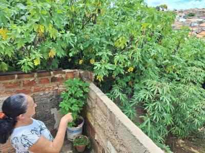 Assustados com tantos focos do Aedes no 