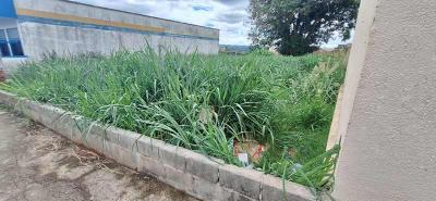 Terreno sujo na Rua Salesianos  alvo de denncias