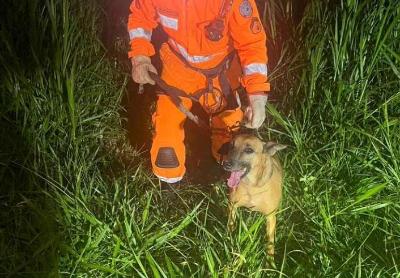 Bombeiros resgatam cachorro que caiu no Rio Guaxup