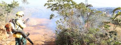 Minas adota preveno a incndios florestais como prioridade e se antecipa ao perodo seco