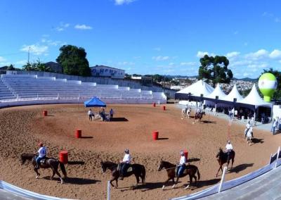 Mangalarguistas se preparam para a tradicional Exposio da raa na Expoagro