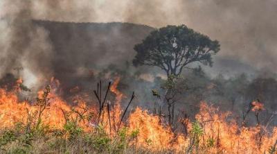 Conscientize-se: Cerrado  o segundo bioma que mais queimou no Brasil entre 1985 e 2020