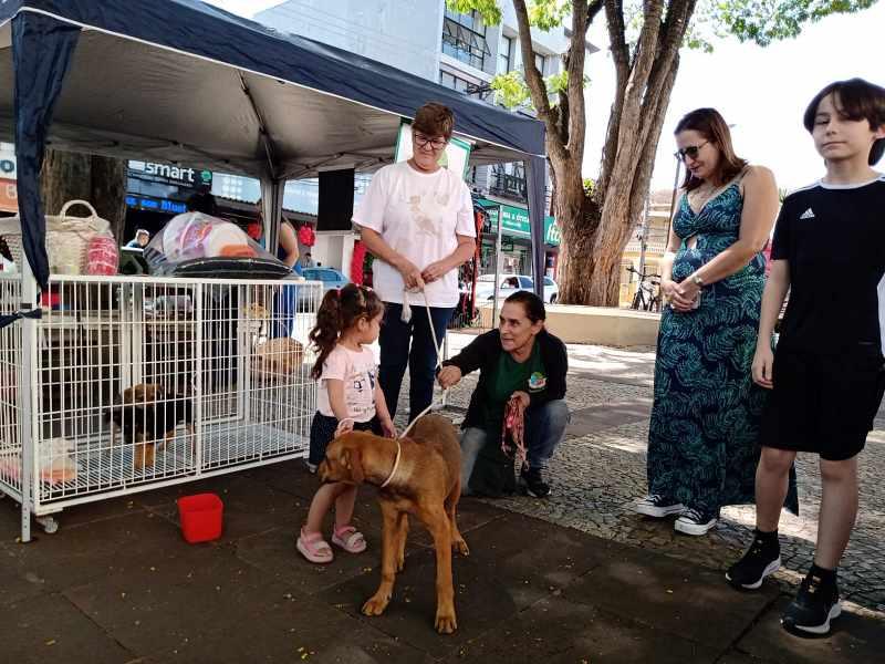 Quer adotar um animalzinho de estimao? Chame a ONG Onda Verde, em Guaxup