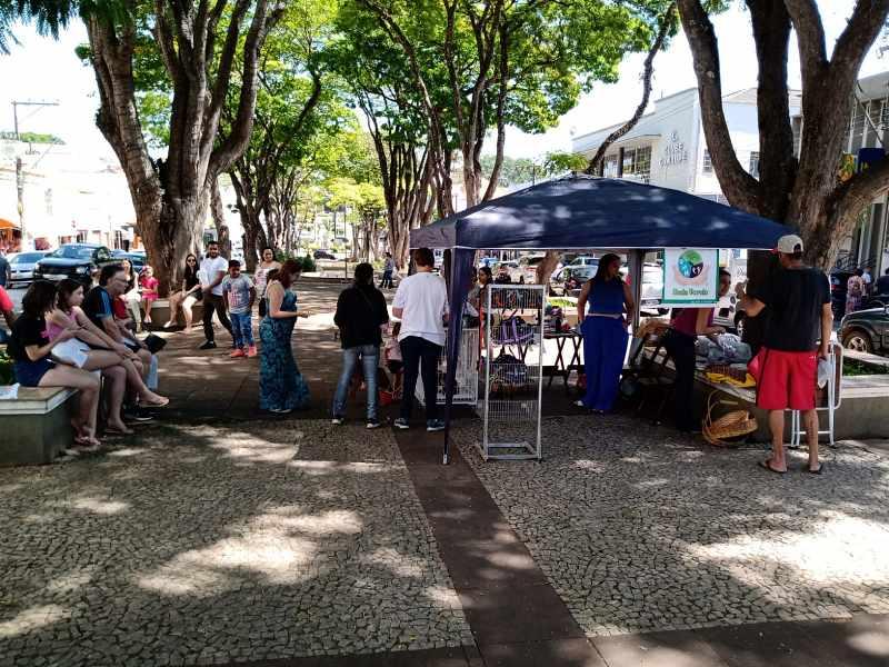 Quer adotar um animalzinho de estimao? Chame a ONG Onda Verde, em Guaxup