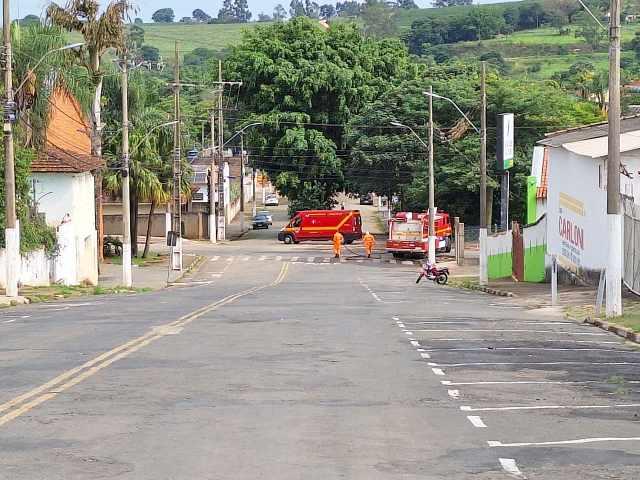 Enxame de abelhas coloca em risco a vida de cidados em Guaxup 