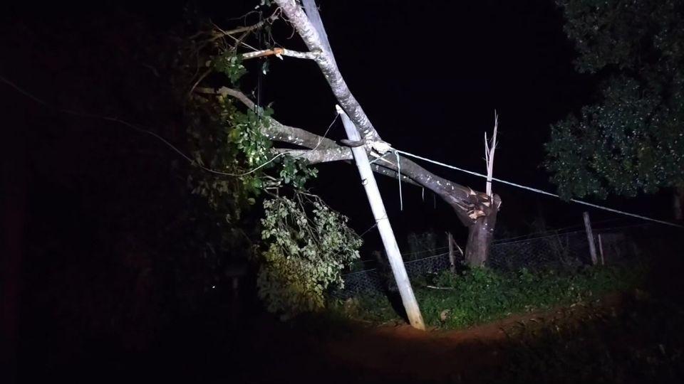 Tempestade provoca queda de rvore, danifica fiao, poste e casa em Muzambinho