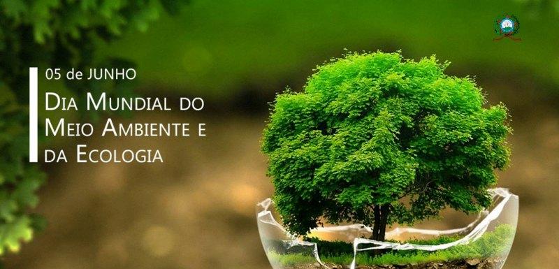 Congresso recebe projeo pelo Dia Mundial do Meio Ambiente