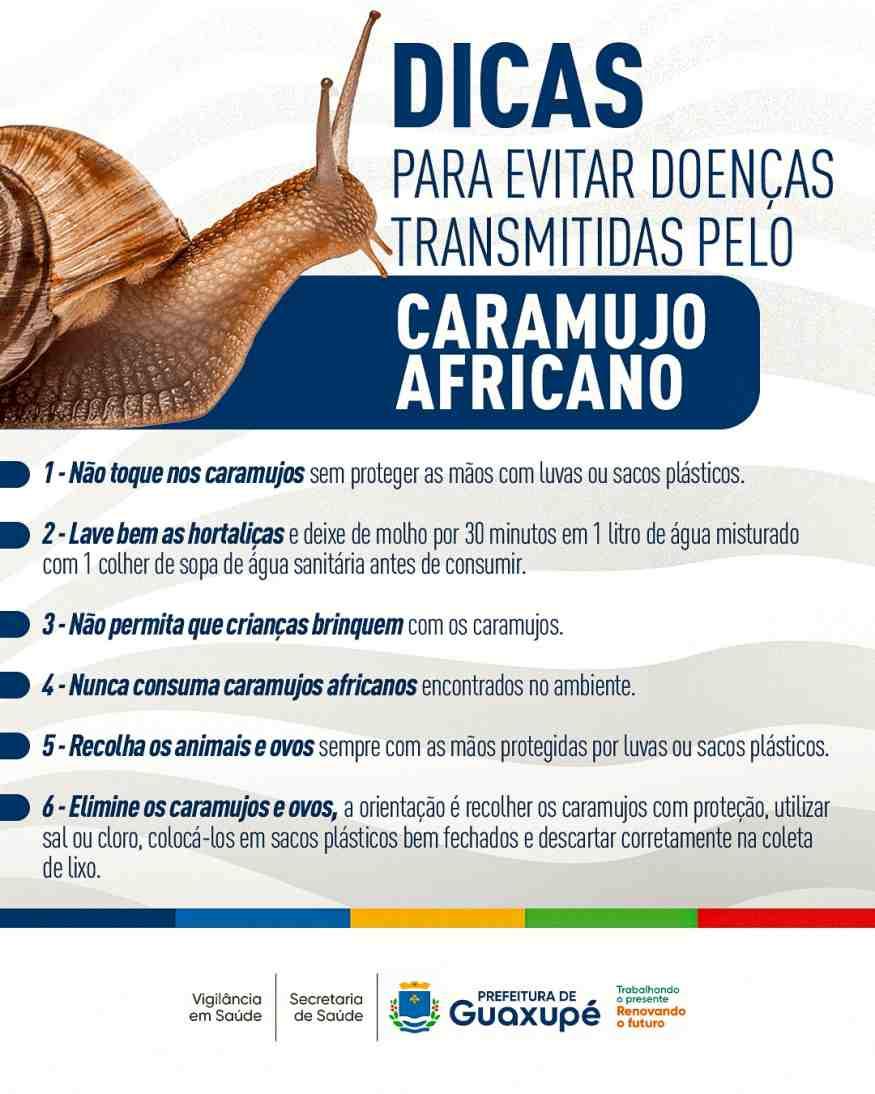 Vigil�ncia em Sa�de de Guaxup� alerta para riscos e combate ao caramujo africano