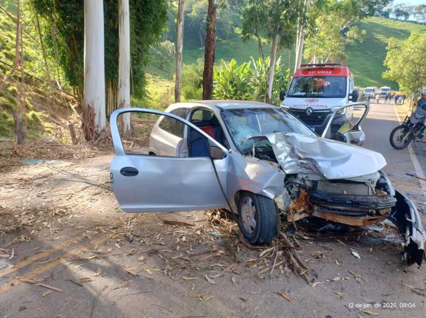 Colis�o contra �rvores mobiliza Corpo de Bombeiros e Samu na MG-446