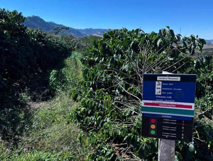 Cooxup� lidera iniciativa in�dita no Brasil e viabiliza venda de cr�ditos de carbono no caf�