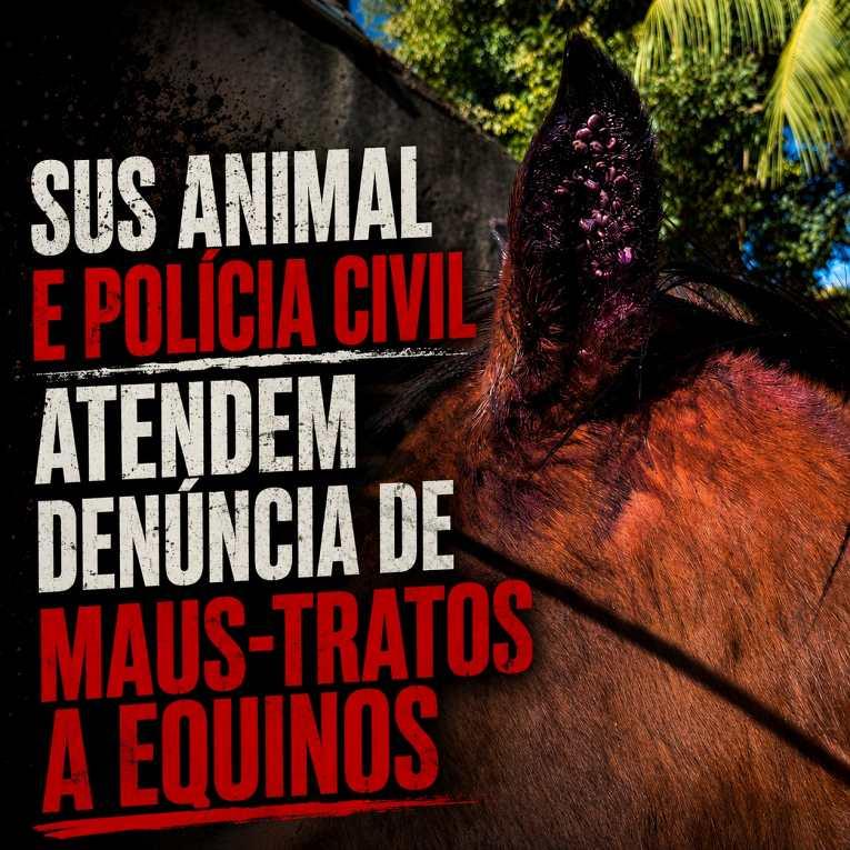 SUS Animal e Pol�cia Civil apuram den�ncia de graves maus-tratos a cavalos em Guaxup� 