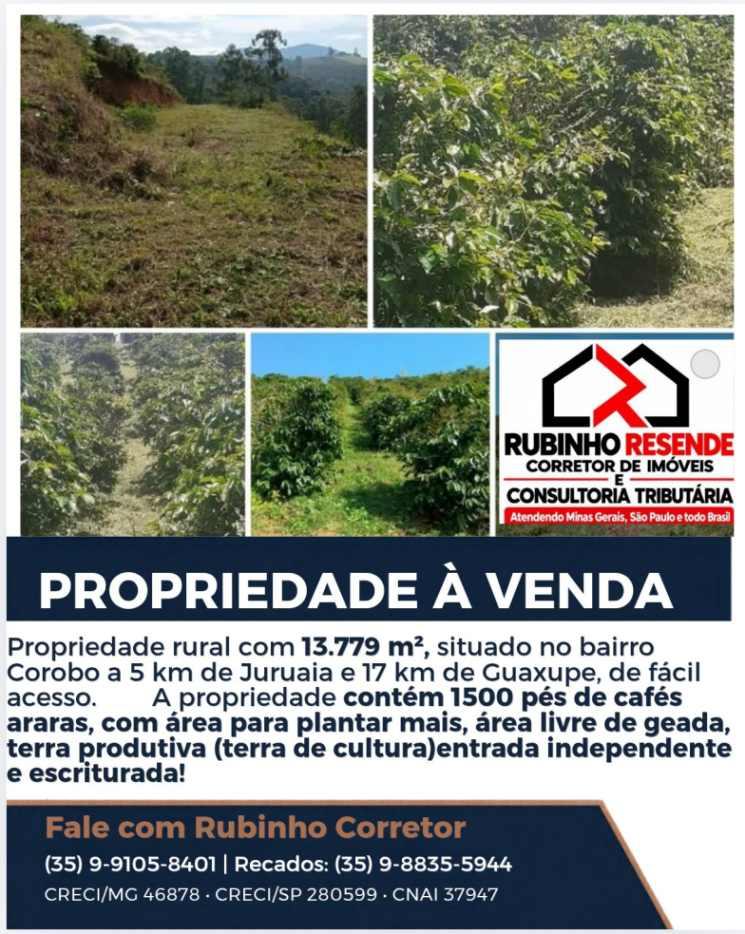 Rubinho Resende negocia propriedade com 1.500 p�s de caf� entre Juruaia e Guaxup�