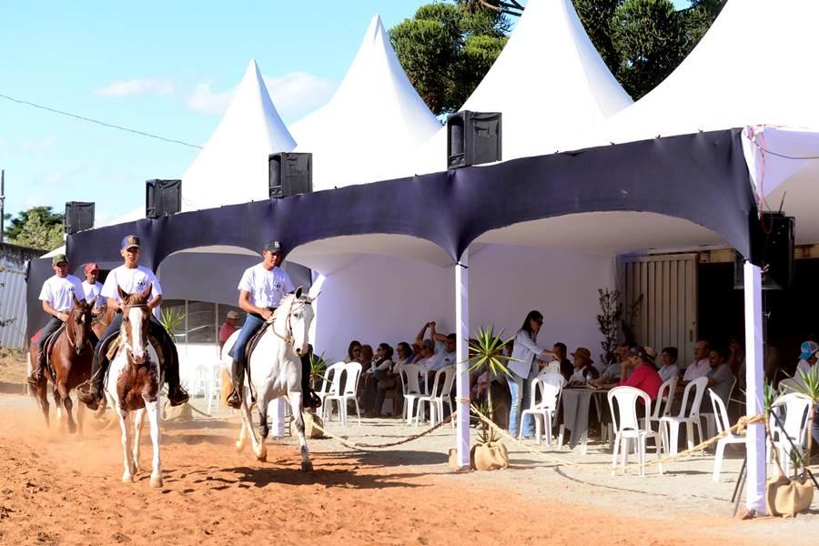 Mangalarguistas se preparam para a tradicional Exposio da raa na Expoagro