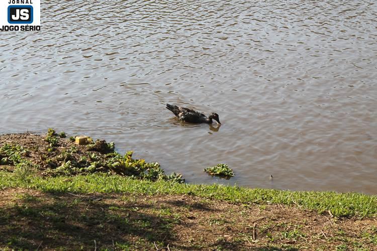 Calor com mais de 30 leva nmero expressivo de associados ao Guaxup Country Club