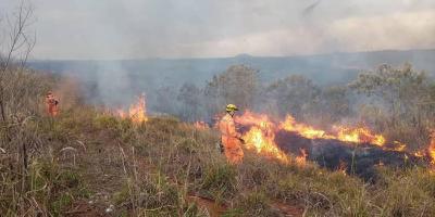 Incêndio florestal destrói dezoito hectares de vegetação em Guaranésia