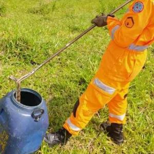 Bombeiros recolhem jiboia em bairro urbano de Guaransia