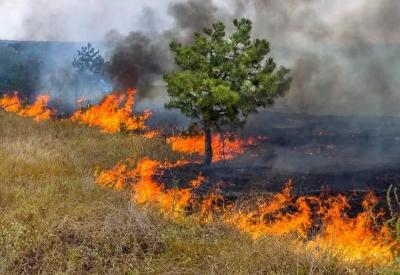 Cemig orienta populao sobre riscos de queimadas durante perodo seco   