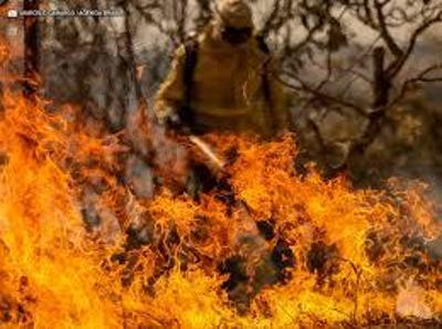 Defesa Civil diz que ao humana causou 99,9% dos incndios em SP