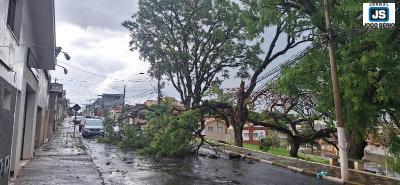 EM PRIMEIRA MO: Vendaval causa estragos em diferentes pontos de Guaxup