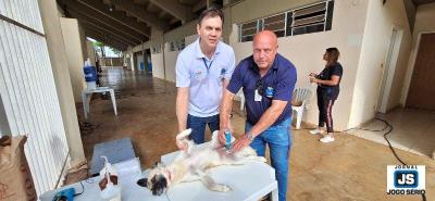 Comea mais uma etapa de cirurgias e chipagens gratuitas em animais domsticos na cidade de Guaxup