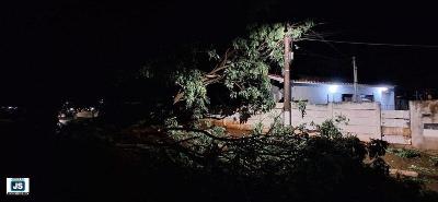Tempestade provoca ruptura de rvore no Jardim Vera Cruz