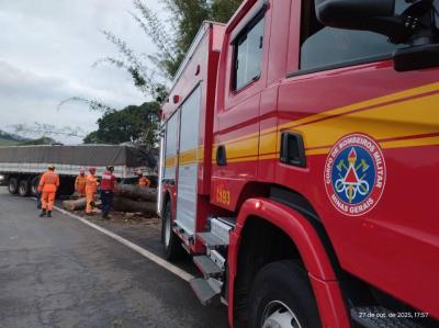 Coliso de carreta provoca interdio temporria na BR-491, em Muzambinho