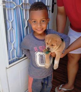 Famlia procura pelo paradeiro de cachorrinho no Parque dos Municpios 