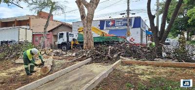 Vereador Carlo acompanha manutenes aps vendavais e frisa a importncia de replantios com rvores adequadas em Guaxup