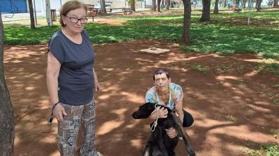 Volunt�rias guaxupeanas resgatam cadela doente na Pra�a da Saudade para tratamento no SUS Animal