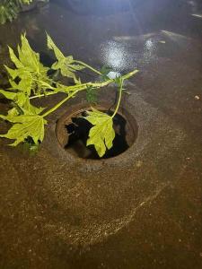 Eletricista e seu filho de apenas 2 anos s�o v�timas de acidente de tr�nsito em via com tampa de bueiro aberta 