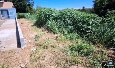 Moradores do Jardim Ouro Verde pedem urbaniza��o de �rea p�blica tomada por matagal