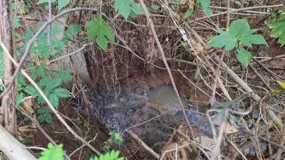 Pescadores denunciam crime ambiental em a�ude usado h� d�cadas para a pesca em Guaxup�