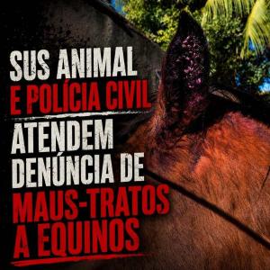 SUS Animal e Pol�cia Civil apuram den�ncia de graves maus-tratos a cavalos em Guaxup� 