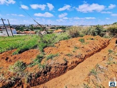 Francis e Carl�o refor�am pedido de passarela entre bairros e complexos industriais em Guaxup�  
