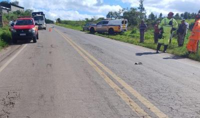 Pedestre morre ap�s atropelamento em rodovia do Sul de Minas