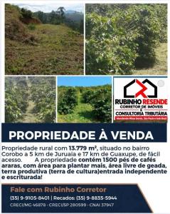 Rubinho Resende negocia propriedade com 1.500 p�s de caf� entre Juruaia e Guaxup�