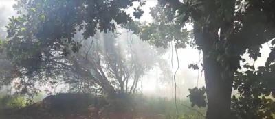AGORA: Moradores sofrem com queimada em área urbana de Guaxupé